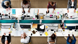 primeira impressão no trabalho